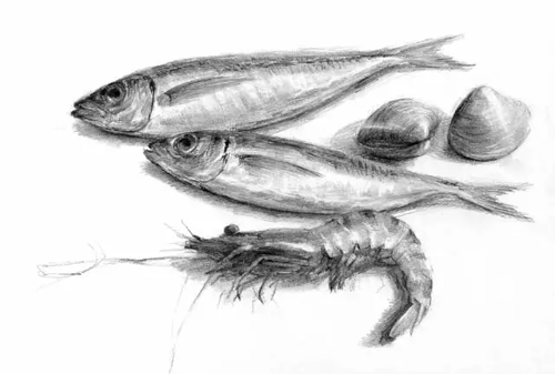 1486301686291947.png 素描靜物1.png