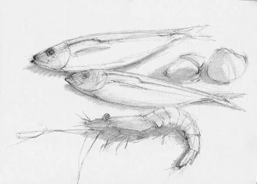 1486301747139218.png 素描靜物3.png