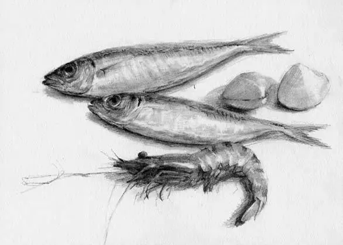 1486301763960465.png 素描靜物5.png