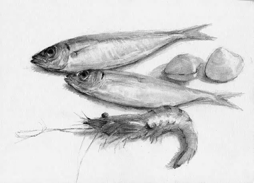 1486301770496592.png 素描靜物6.png