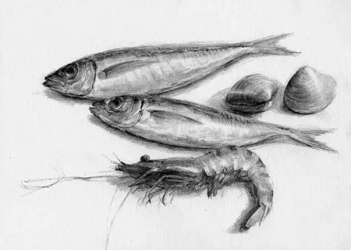 1486301792177699.png 素描靜物9.png