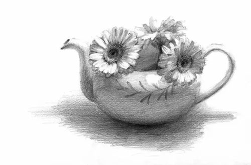 1486301990122365.png 素描靜物21.png